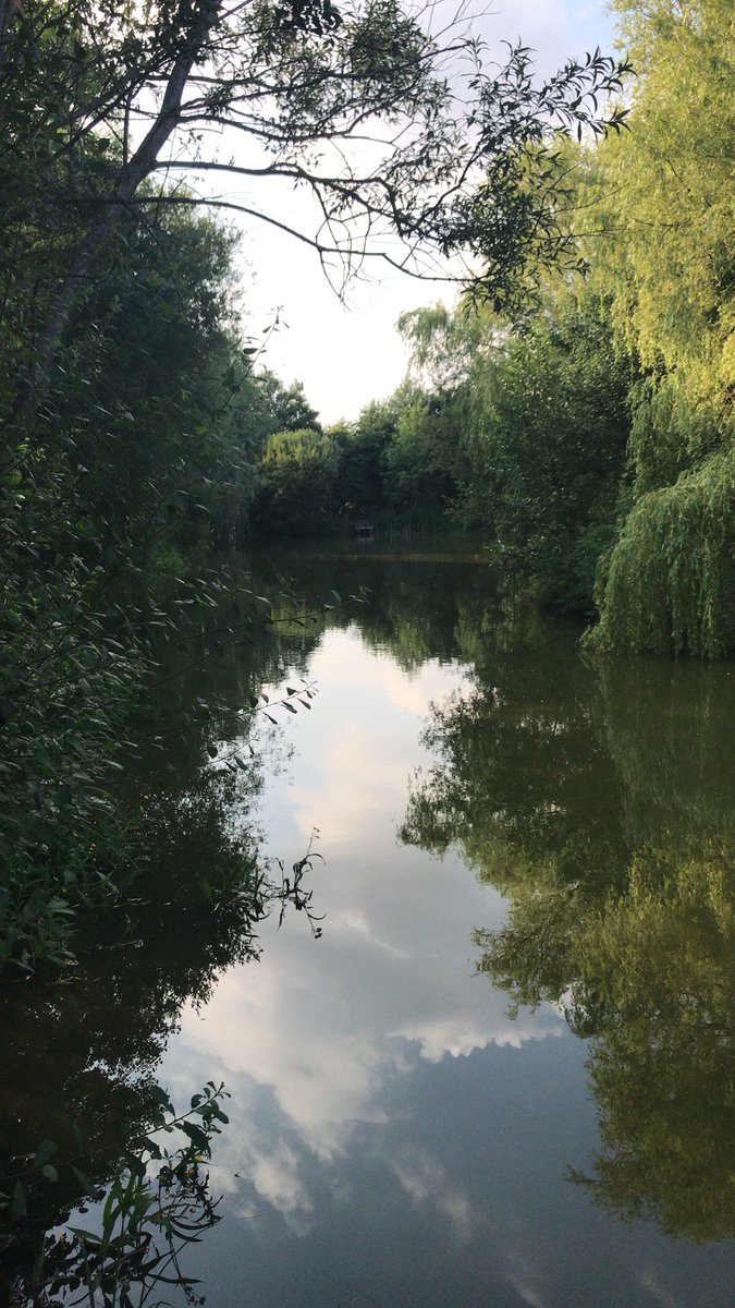 Fishingforcarp3's tweet photo. 24 @spring grange fishery leicester https://t.co/YrwQQifTkz