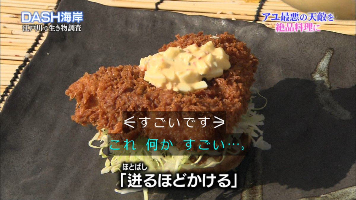 Dash海岸で江戸前アユを追跡していたと思ったら外来種を捕獲して料理し最終的に桝アナと木村先生と漁協の方でエンディング 鉄腕dash 3ページ目 Togetter
