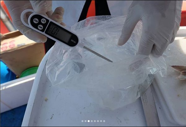 EMBRIO FPIK IPB tweet media