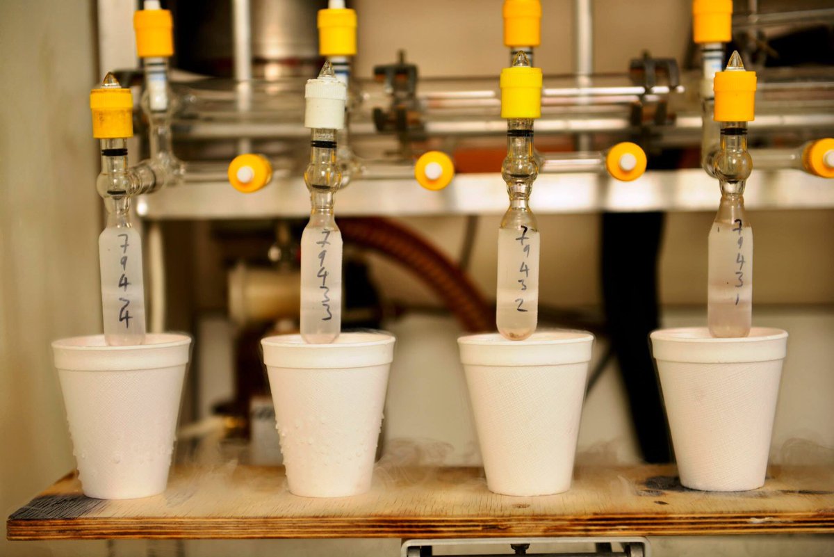 Prof Melanie Leng tweet media