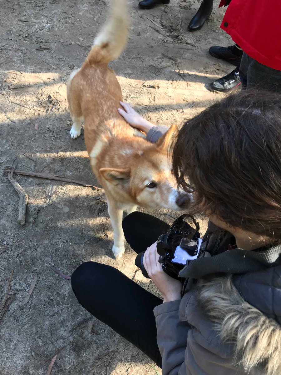 Rachel Simmonds tweet media