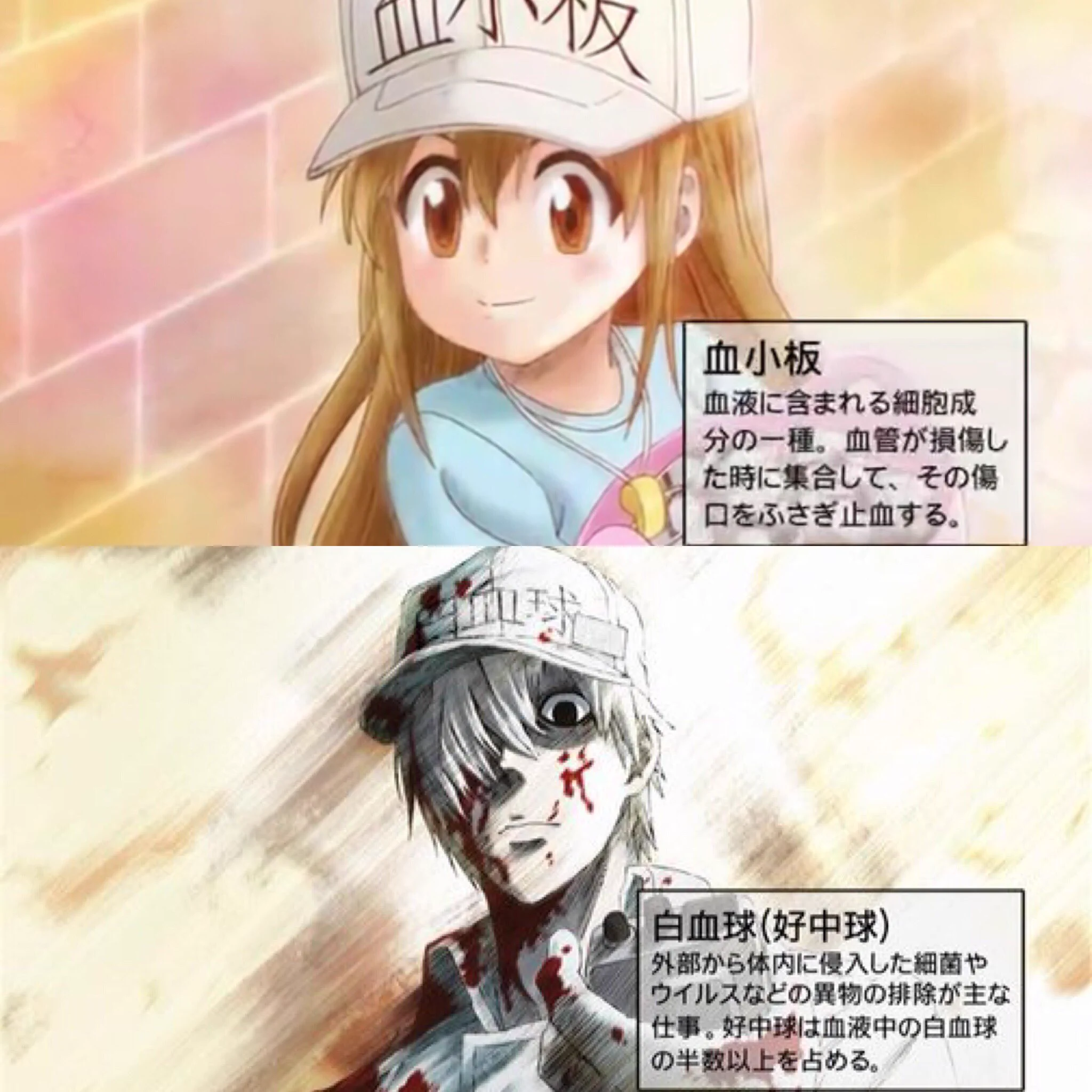 授業より勉強になる！？アニメのはたらく細胞がすごい！
