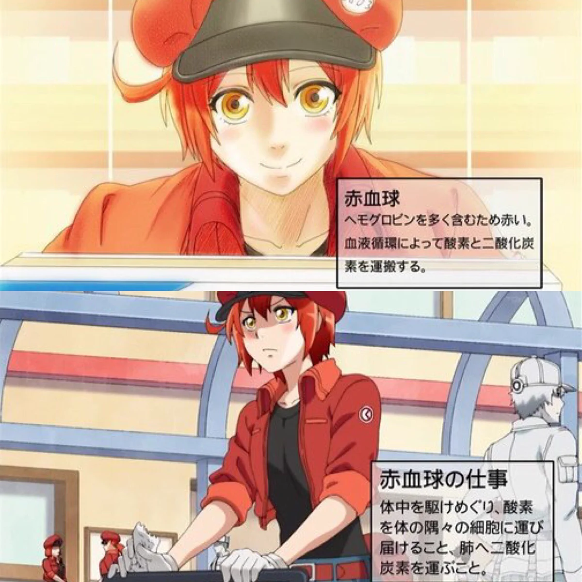 授業より勉強になる！？アニメのはたらく細胞がすごい！