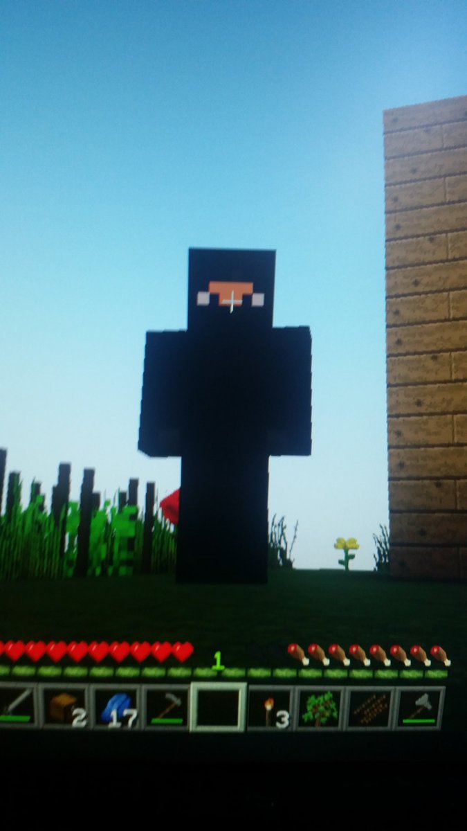 darkfight_21's tweet photo. Bonjour tweeter, nouvelle petite série #Minecraft la semaine prochaine 😉 en #modée https://t.co/nqoeFq5ybH