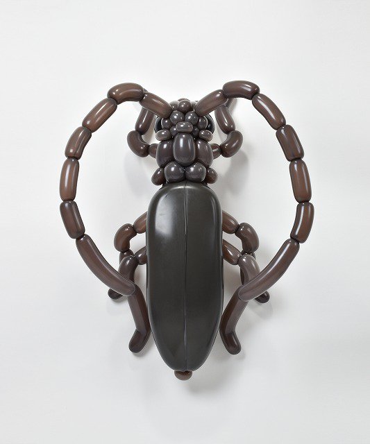 isopresso's tweet photo. バルーンでカミキリムシ　#LonghornBeetle #balloonart #バルーンアート https://t.co/jMm3oBYlud