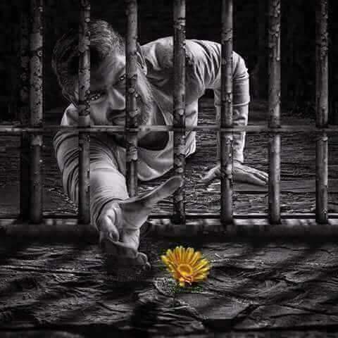لا تلم الناس لأنهم خيبوا أملك بل لم نفسك لأنك توقعت الكثير منهم. 

 مارتن لوثر كنج