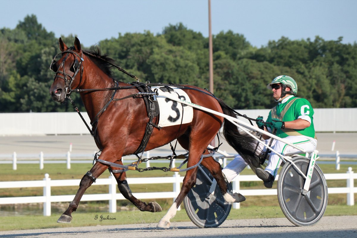 hoosiernations's tweet photo. GoodMorning @conrad_stable @Chris_wponies @JoannKi32885615 @rebelsart @jtlburn @kimberlymoier @vnssa926 @JoannKi32885615 @KathleenBaitzel @SadandSulk @HoP_Racing #AdoringSpirit #CharlieConrad #PlayHP https://t.co/2AIplAsUpF