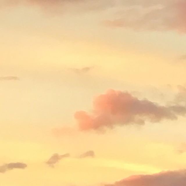 Jasmindays's tweet photo. 🍋☁️ https://t.co/HewxLU7IVX