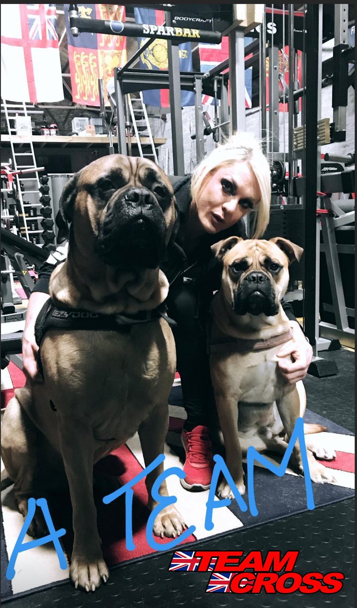 bblisacross's tweet photo. Iv been holed up in my gym for the last 13 weeks with my pack. 3 weeks until the Tampa Pro.
#neil_yoda_hill1
#napasportsnutrition
#Y3TDisciple
#Y3TLeanmass
#IFBB
#risingphoenix
#arizonapro
#wingsofstrength
#lisacrossifbbpro
#timgardnerproductions https://t.co/juaXaOScXg