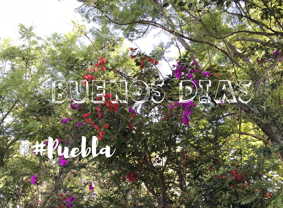 pepechedrauimx's tweet photo. #FelizDomingo para todos!! https://t.co/iDOeBOPe7s