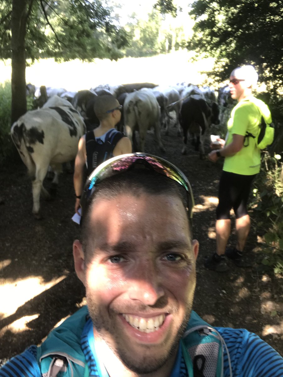 robohara83's tweet photo. Mooooo ve it!!!! #ukrunchat #cows #costme30seconds #trailrunnerprobs https://t.co/7hWQfzAkqD