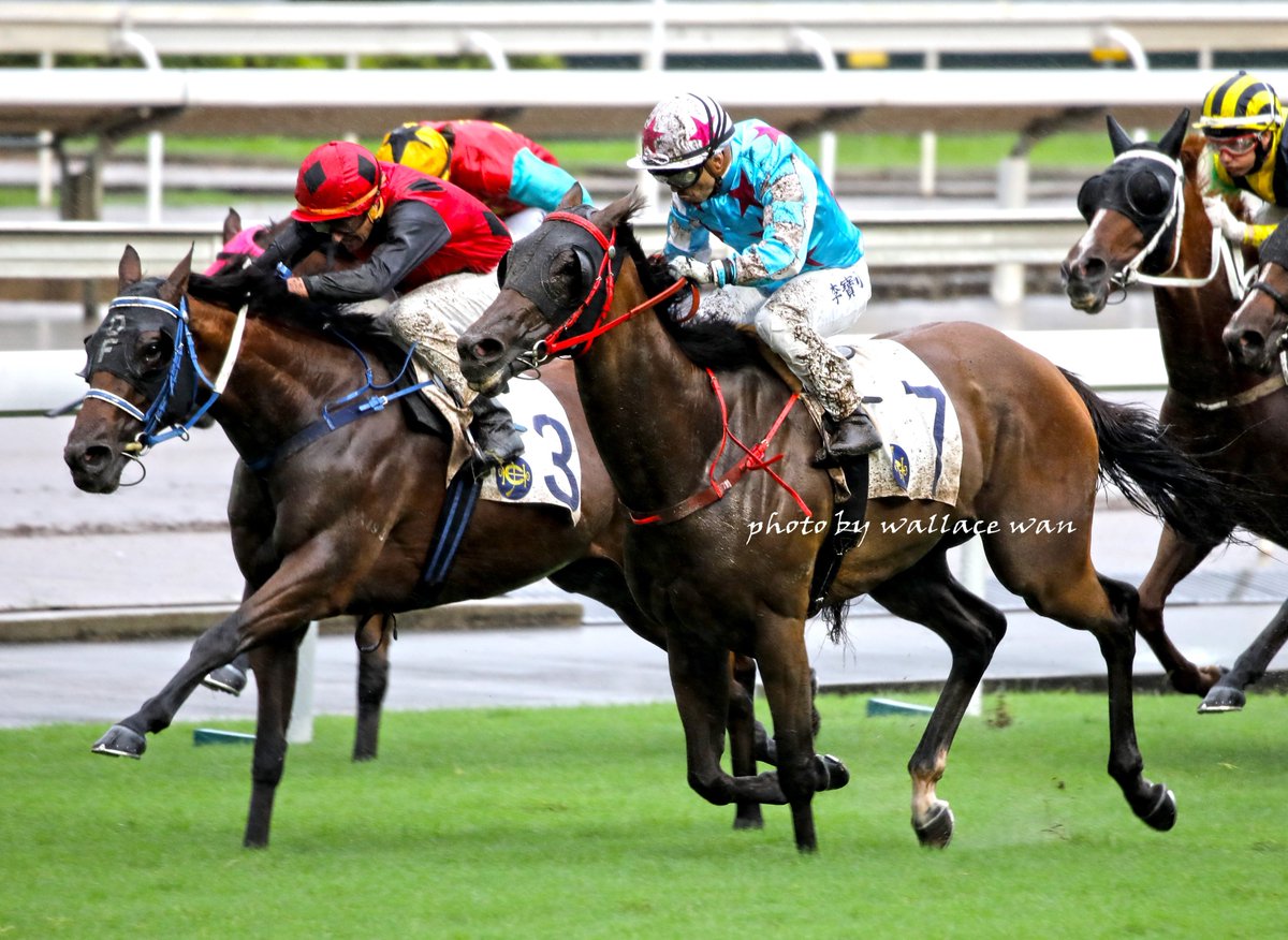 Wallacewanck's tweet photo. @umbyrispoli What a beautiful win on #MIDNITEPROMISE in the Shatin Seasons Finale!!! https://t.co/LMuBZr6hp5