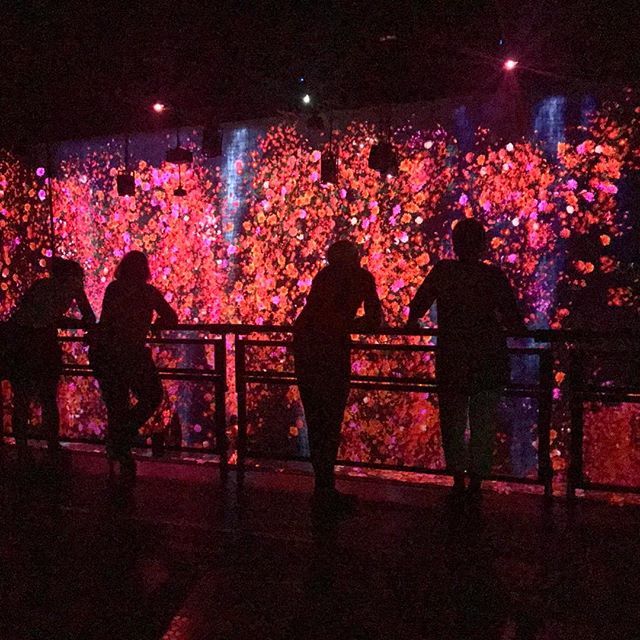 levinchin's tweet photo. At the amazing TeamLab interactive multimedia installation space at la Villette, Paris.
#levinchintrendscout #artexhibition #artinstallation #installationart #lavillette @la_villette #parclavillette #paris #france #teamlab @teamlab_news #interactive #int… https://t.co/dKOzkEuWDN https://t.co/ibxP6N4ySQ