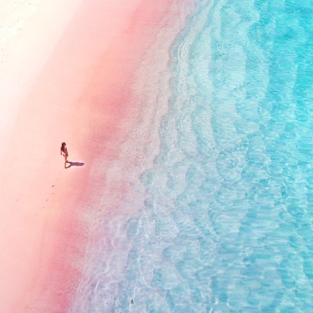 Bellissima Pink Sand Beach カリブ海に浮ぶエルーセラ島 東側ハーバーアイランド地区にあるピンク色の砂浜 ほんのり桃色その正体はコンク貝と赤珊瑚 細かく砕けた貝殻が混ざって生みだされた奇跡の色彩 海面のグラデーションと抜けるような空の 青