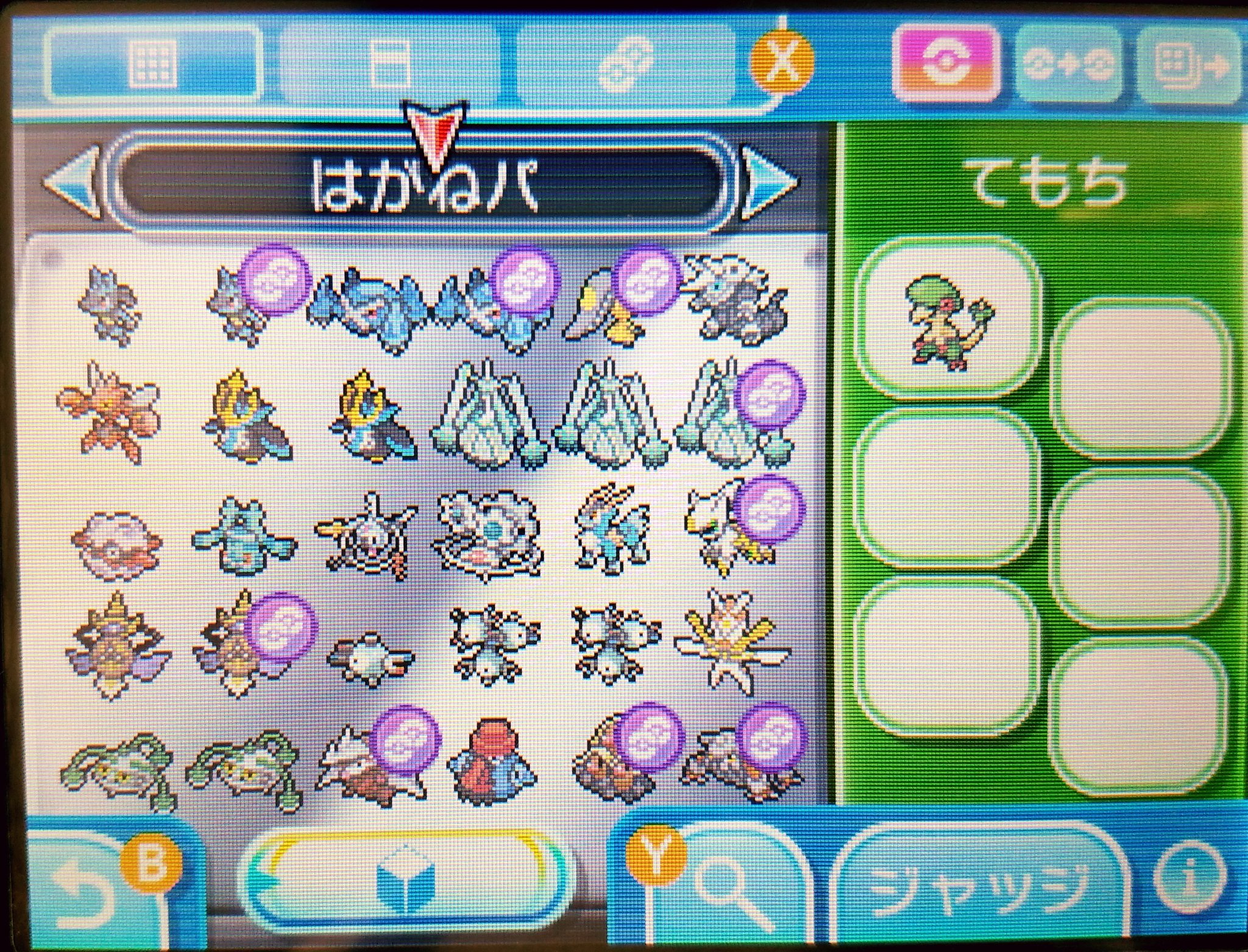 ট ইট র Tamotu 鋼統一パで型違いのポケモン含め やっと1ボックス埋まった ポケモン 鋼統一 ট ইট র Tamotu 鋼統一パで型違いのポケモン含め やっと1ボックス埋まった ポケモン 鋼統一