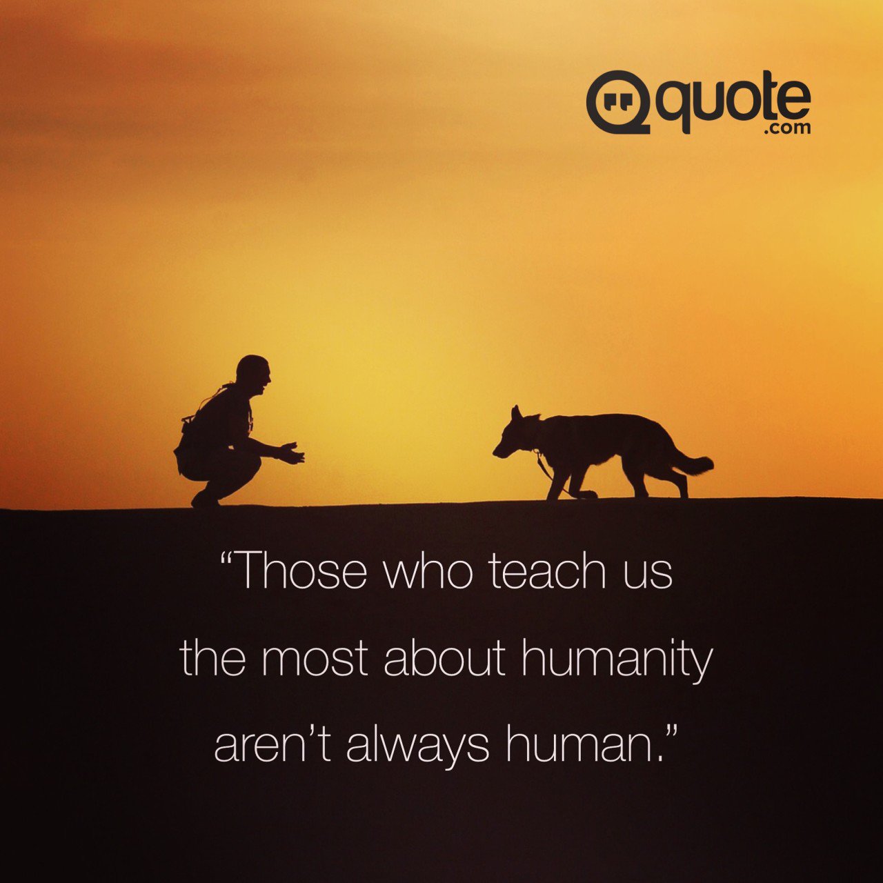 Quote on Twitter: Quote on Twitter: