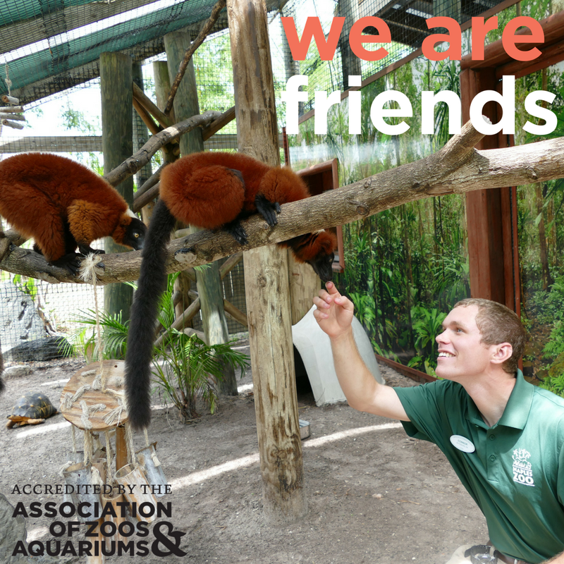 NaplesZoo's tweet photo. Today is the start of National Zoo Keeper Week! Great animal care and conservation efforts require great teamwork. We are so thankful for our wonderful keepers here at Naples Zoo! #napleszoo #closeenoughtocare #nationalzookeeperweek #nzkw #weareAZA https://t.co/IPVQsi9ydP