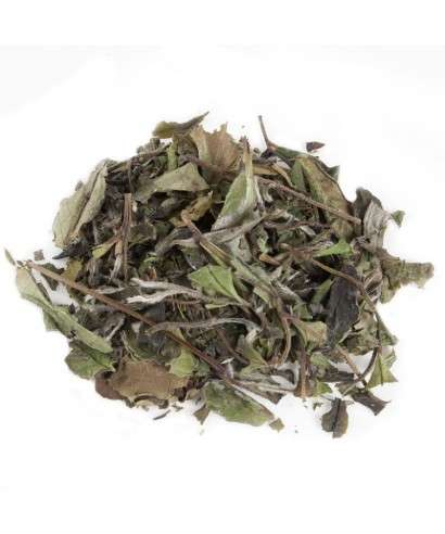 AromasdeTe's tweet photo. Por ser digestivo y su sabor suave y agradable, hoy terminamos la comida con este té blanco pai mu tan ecológico. ¿Te apuntas? Pídelo aquí: https://t.co/qCrrlQCLas
#paimutan #téblanco #téecológico #ecológico #digestivo https://t.co/NIvAPT8N3e