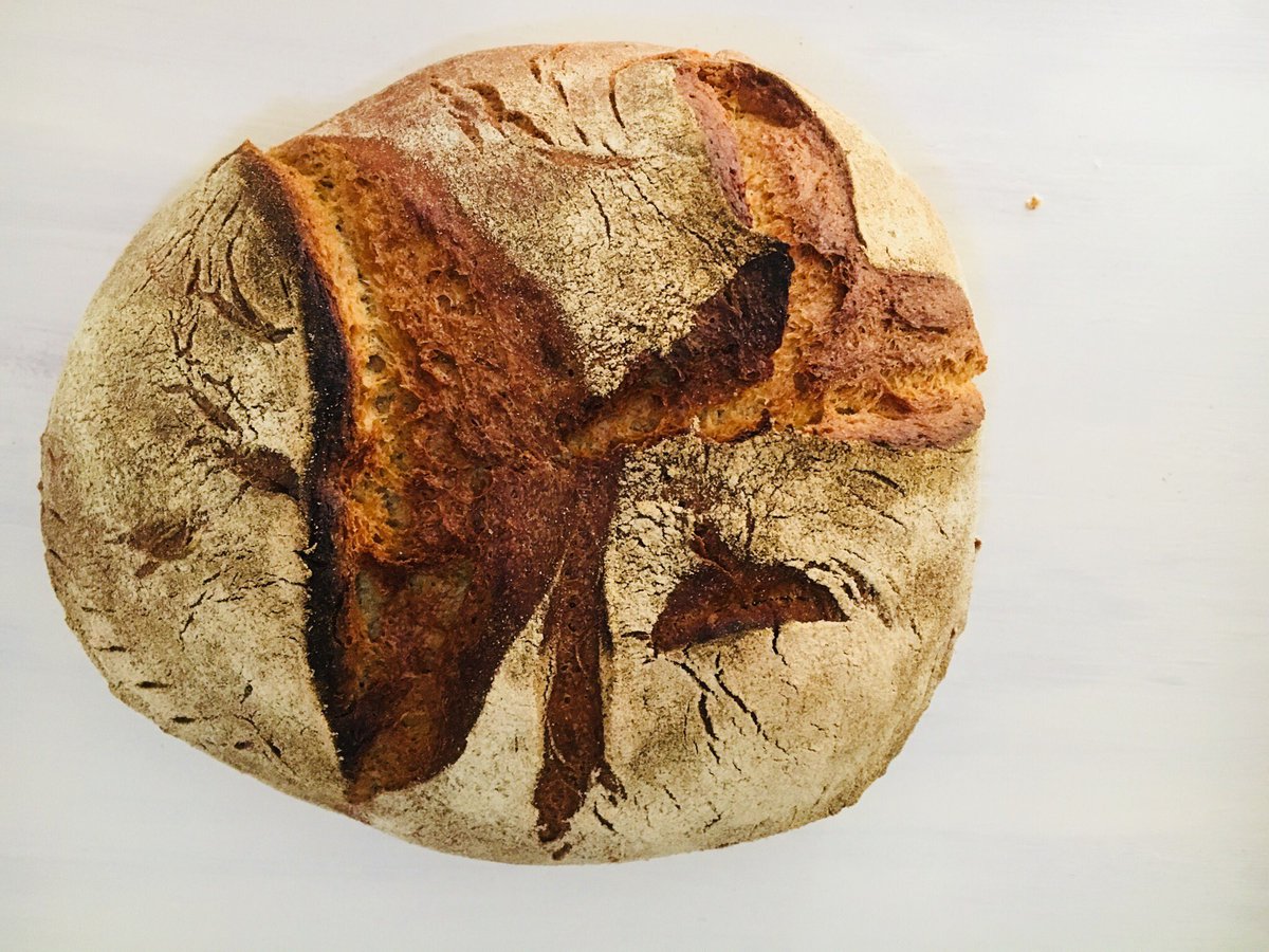_holger82's tweet image. Every weekend is Groundhog Day... kind of. My bread creations this weekend. #bread #bake #breadcraft