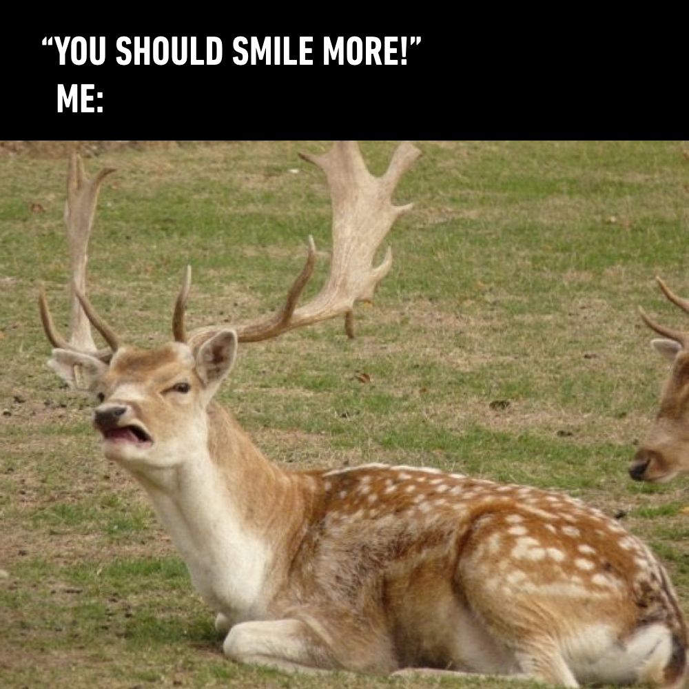 9GAG's tweet image. Don't tell me what to do
9gag.com/gag/aGjNmz6?re…