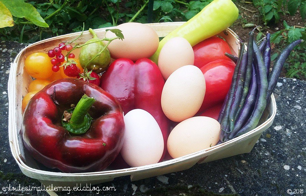 EnTouteSimplicitéMAG tweet media