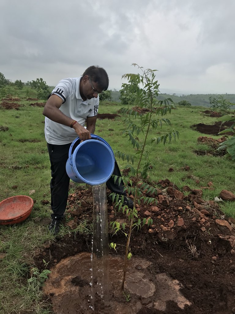 <a href="/CMOMaharashtra/">CMO Maharashtra</a> ,<a href="/bhupendrasingho/">Bhuppendra Siingh</a> ,<a href="/DGP_MP/">DGP MP</a>,<a href="/PHQ_Editorial/">Editorial_Board</a> ,<a href="/ADG_INDORE_ZONE/">ADG INDORE ZONE</a> कर्तव्य की वेदी पर शहीद अमर जवानों की पावन स्मृति में झाबुआ की हाथीपावा की पहाड़ी पर 1500 वृक्षों (1000 नीम, 100 जामुन, 100 चेरी, 100 बादाम, 100 अमरूद, 100 मौरसली) का रोपण