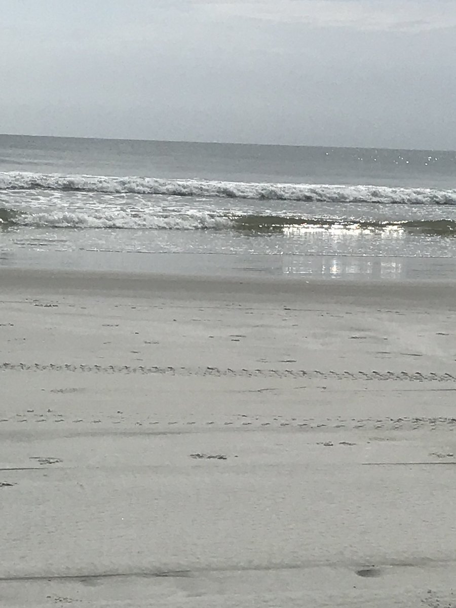 LindaDToo's tweet photo. Escaping the real world. Twice in one week. #timesarerough #beachlife https://t.co/mxRsUvAYMt