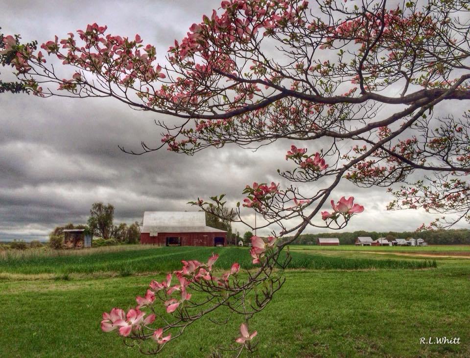 How to preserve rural character &amp; have vibrant Town Centers too? huntingtowncitizensassociation.com/2018/07/15/how…
