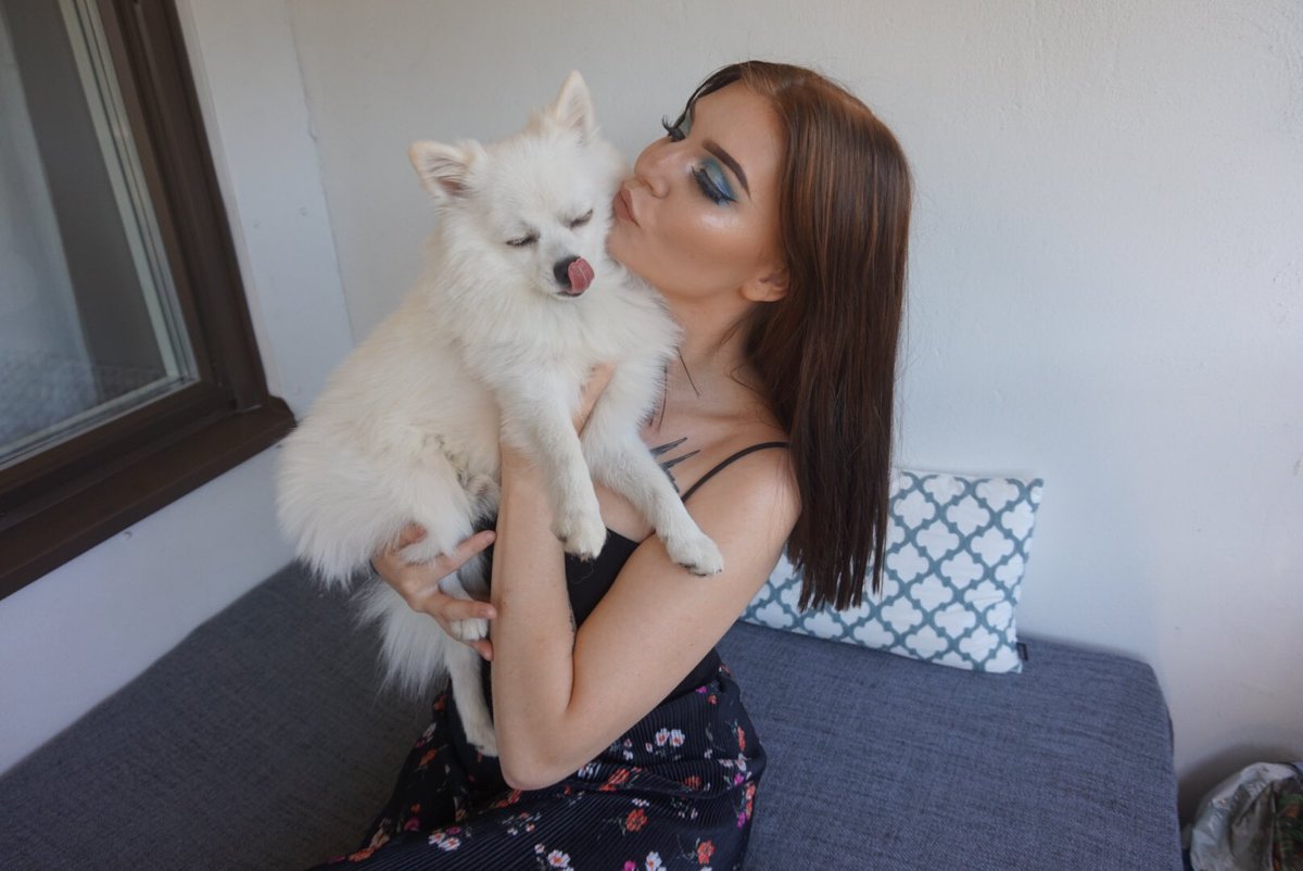 Johannabladh's tweet photo. Han är såå fotogenisk, när man kollar VM final #milo #fotbollsvm #fotbollsvm2018 #France #FrancevsCroatialive #France98VSFifa98 #doggy #dogsoftwitter #dog #germanpuppy https://t.co/cob5dTtIDv