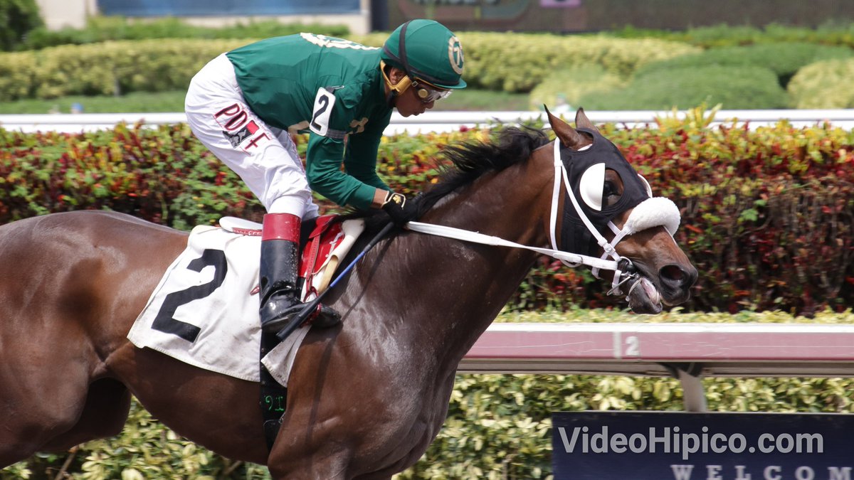 Little Toe finishes strong to get the victory in the 6th race, Jonathan Gonzales aboard for <a href="/GDS_Racing/">Gustavo Delgado S</a>.
#GulfstreamPark #SummerMeet

Little Toe remató con éxito en la 6ta carrera, Jonathan Gonzales abordo para Gustavo Delgado.
<a href="/GulfstreamPark/">Gulfstream Park</a>
