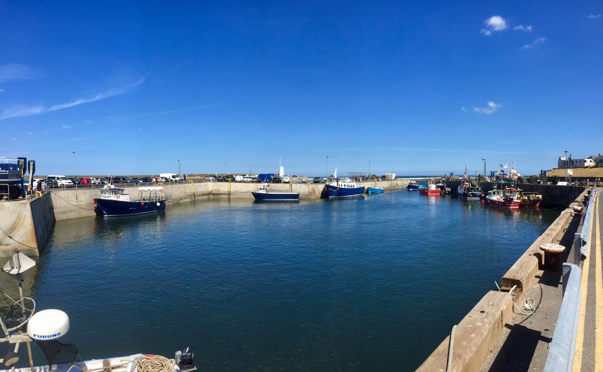 glenvalleytours's tweet photo. A few shots I’ve taken this week working locally in some of our spectacular #Northumberland Countryside & Coast!! #lovenorthumberland @VisitNland @LoveSeahouses @WildNland @nlandhols @walking #isthisreallywork?? #coachhire https://t.co/f5KWeMN8Pu