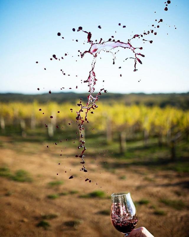 AutumnPriscilla's tweet photo. 🍷Who could go for a nice red right about now?
📸@adelaidefoodcentral
.
.
.#winetastingclub #winetasting #winestagram #wine #winetastings #winelover #winetastingfun #winetastingtour #winetastingparty #winetastingweekend #winetastingday #winetastingevent #winetime https://t.co/jr9MkIIlCD