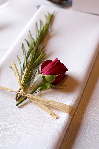 Would you like your much loved #dog to take part inyour special day? We will make that possible by designing a bespoke package just for you! 🥂🐾
#dogsatweddings #weddingphotography #southwest #petsitting #weddingdaychat #WeddingHour #weddingday