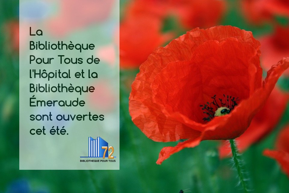 La Bibliothèque de l'hôpital et la Bibliothèque Émeraude sont ouvertes cet été!  #bibliothèques
@CHLeMans #BibliOpital #BPTÉmeraude
facebook.com/permalink.php?…