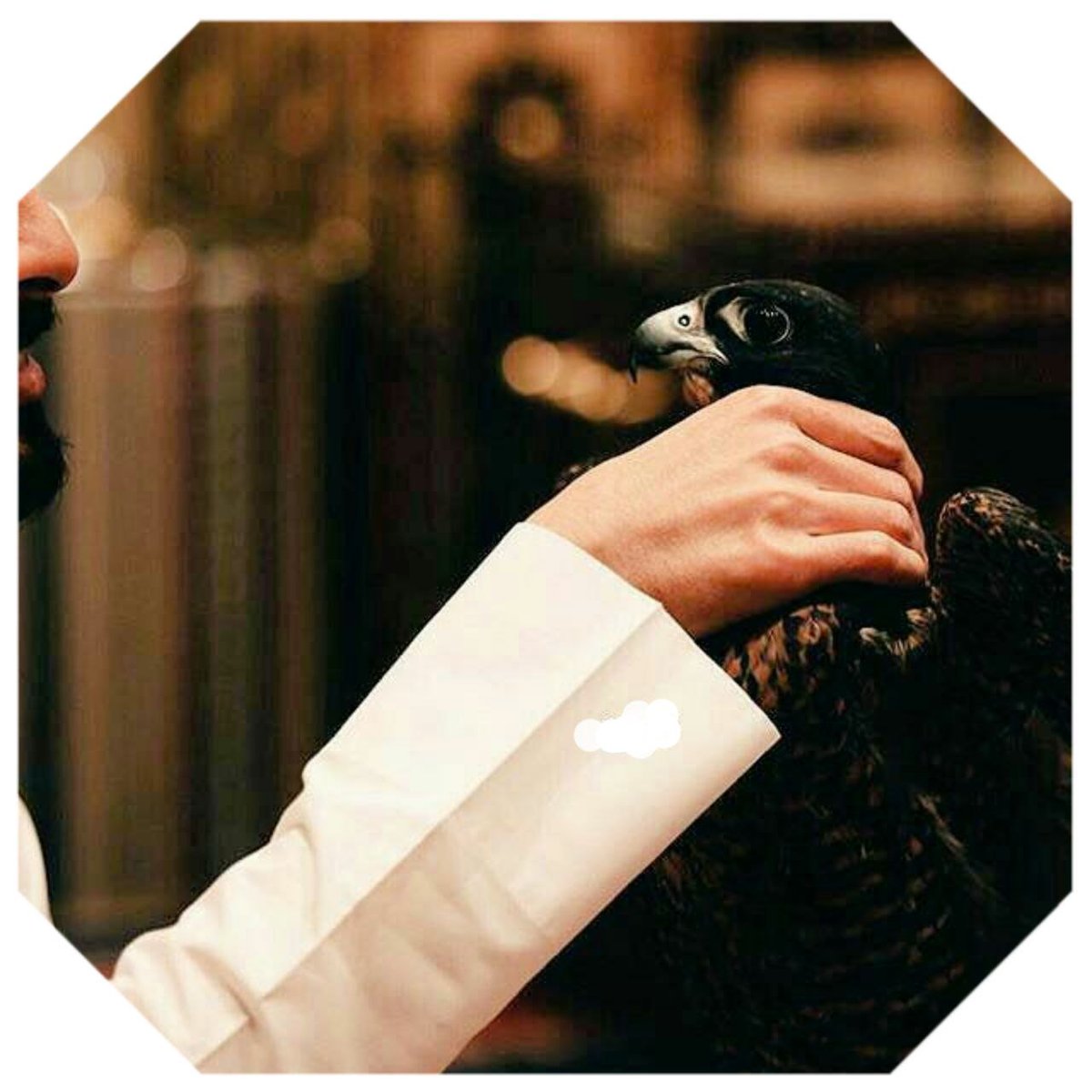 3P_N_99's tweet photo. - لا تخسر كرامتک وانت تحاول الاهتمام
 بشخص لا يهتم لفقدانک .🖤

. 
. 
. 
. 
. 
. 
. 
. 
. 
. 
. 
. 
. 
. 

#نجوم_العالم_للدعم 
#قروب_غيم_للدعم 
#قروب_صنعاء_اليمن 
#قروب_الصعفاني_للدعم 
#قروب_الملوك_للدعم https://t.co/S7cUXpF3Uv