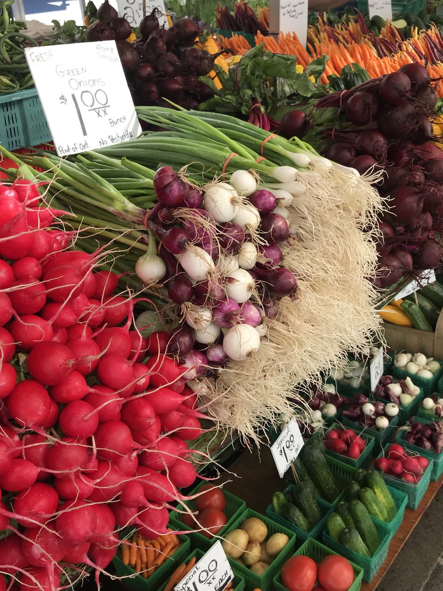 Beautiful morning walk in downtown Ottawa 😍 #MyOttawa #ExploreCanada