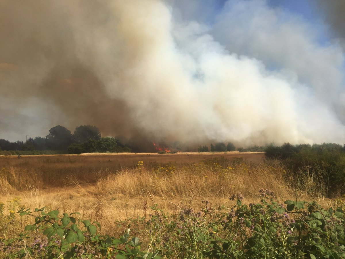 JohnBark3's tweet photo. #wanstead flats on fire, fire engines just arriving #wansteadium https://t.co/FI6B3Irkj7