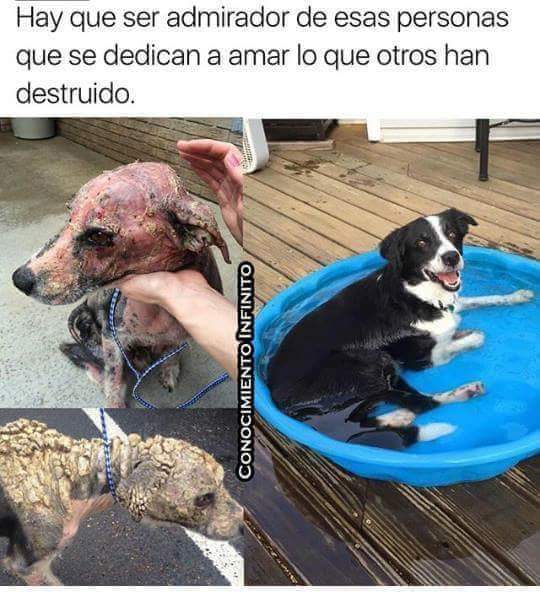 Soledad80072059's tweet photo. UNA PERSONA LE CAMBIÓ LA VIDA GRACIAS https://t.co/Tq14J2PNmF
