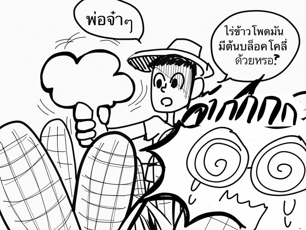 Donald_AFAL's tweet photo. #AFAL_SFP #AFAL_HV
ช่วยเก็บข้าวโพดก่อนถึงวันกลับ แล้วผมตัวเองก็โดนประทุษร้ายอีกครั้ง https://t.co/F9k1cIKlAW
