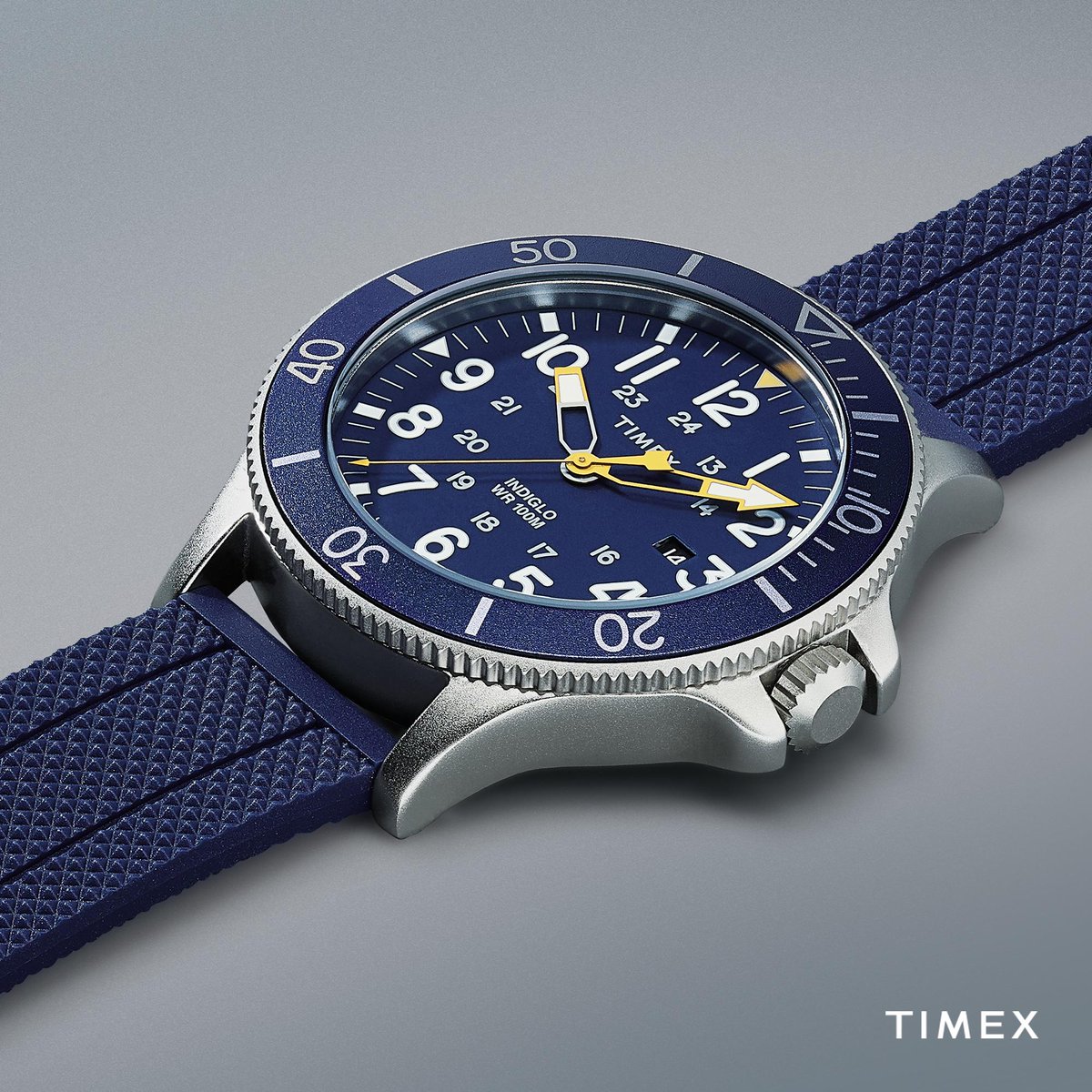 timex allied coastline blue