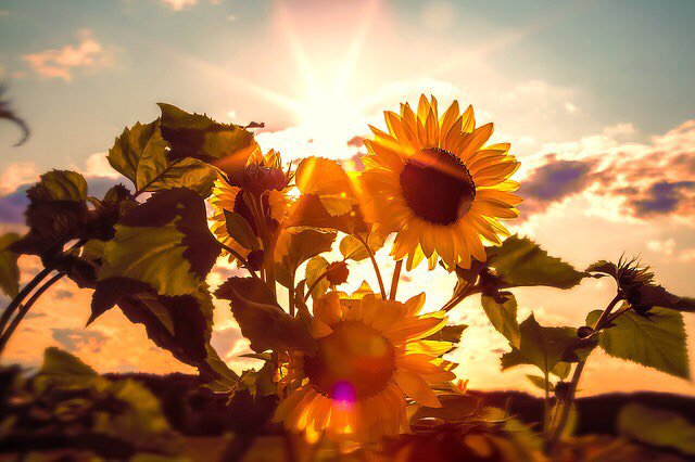 PackardWeddings's tweet photo. What's everyone's plan for this Sunday afternoon? #packardprovinggrounds #lazyday #macombcounty #local #shelbytownship #happy #theweekend #michigan https://t.co/wDLFBbfiFe