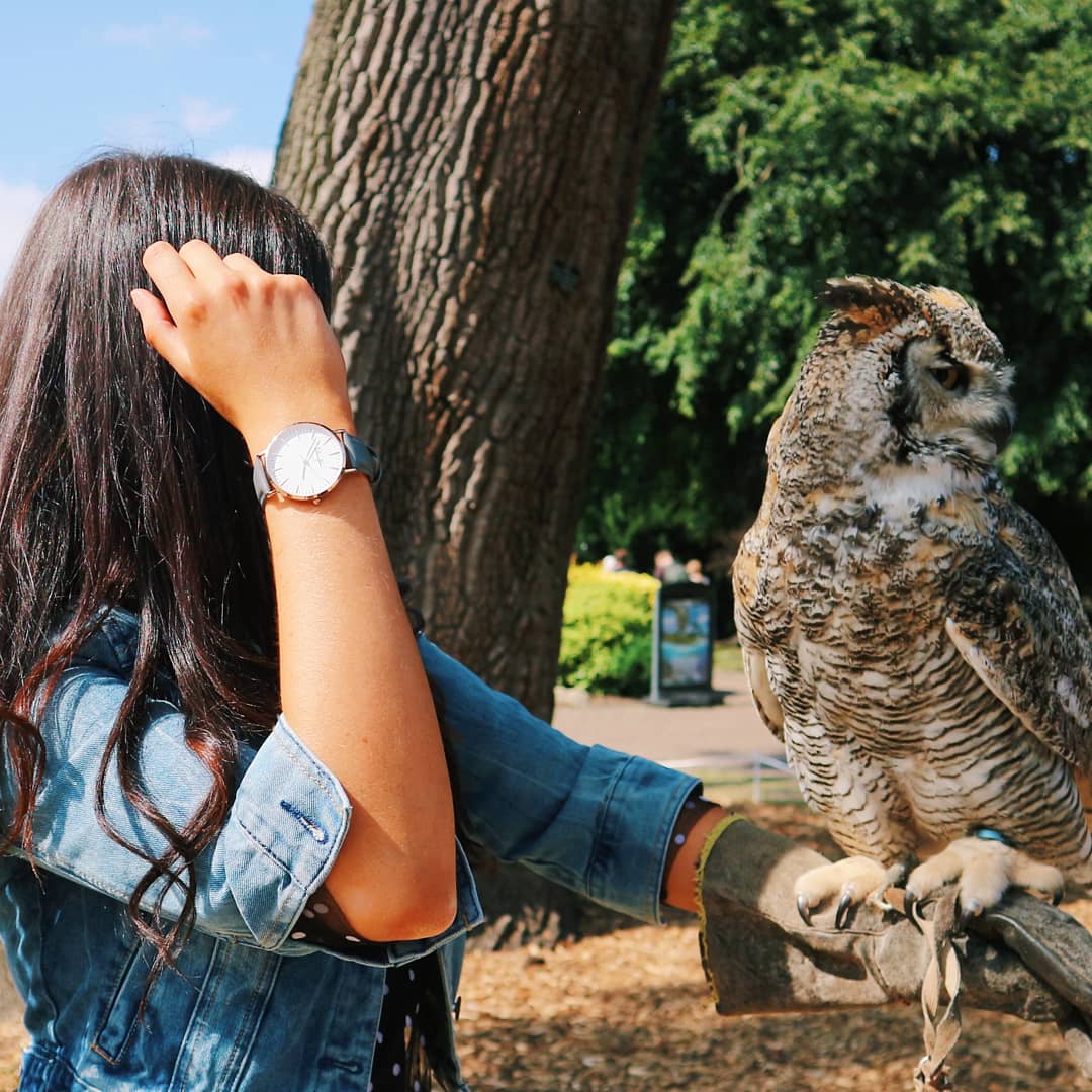 Majestic ✨

ellingtontimepiece.com

#owl #owls #majestic #fashionstyle #birdsofinstagram #birdsofprey