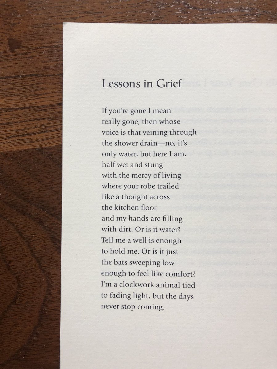 “I’m a clockwork animal tied 
to fading light, but the days
never stop coming.”

-Ruth Awad, from Set to Music a Wildfire✨