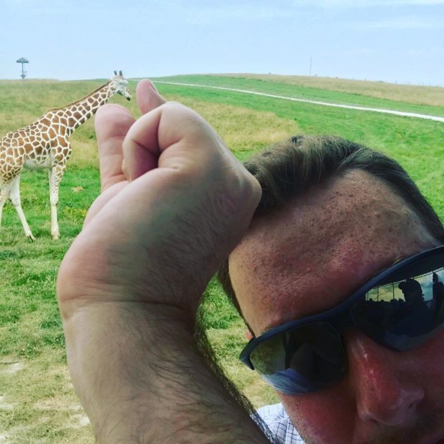 ericmchicago's tweet photo. Having a little Giraffe pride #safari time at #thewilds #columbus #ohio https://t.co/iN5b75ab7f https://t.co/61cGeoBY52
