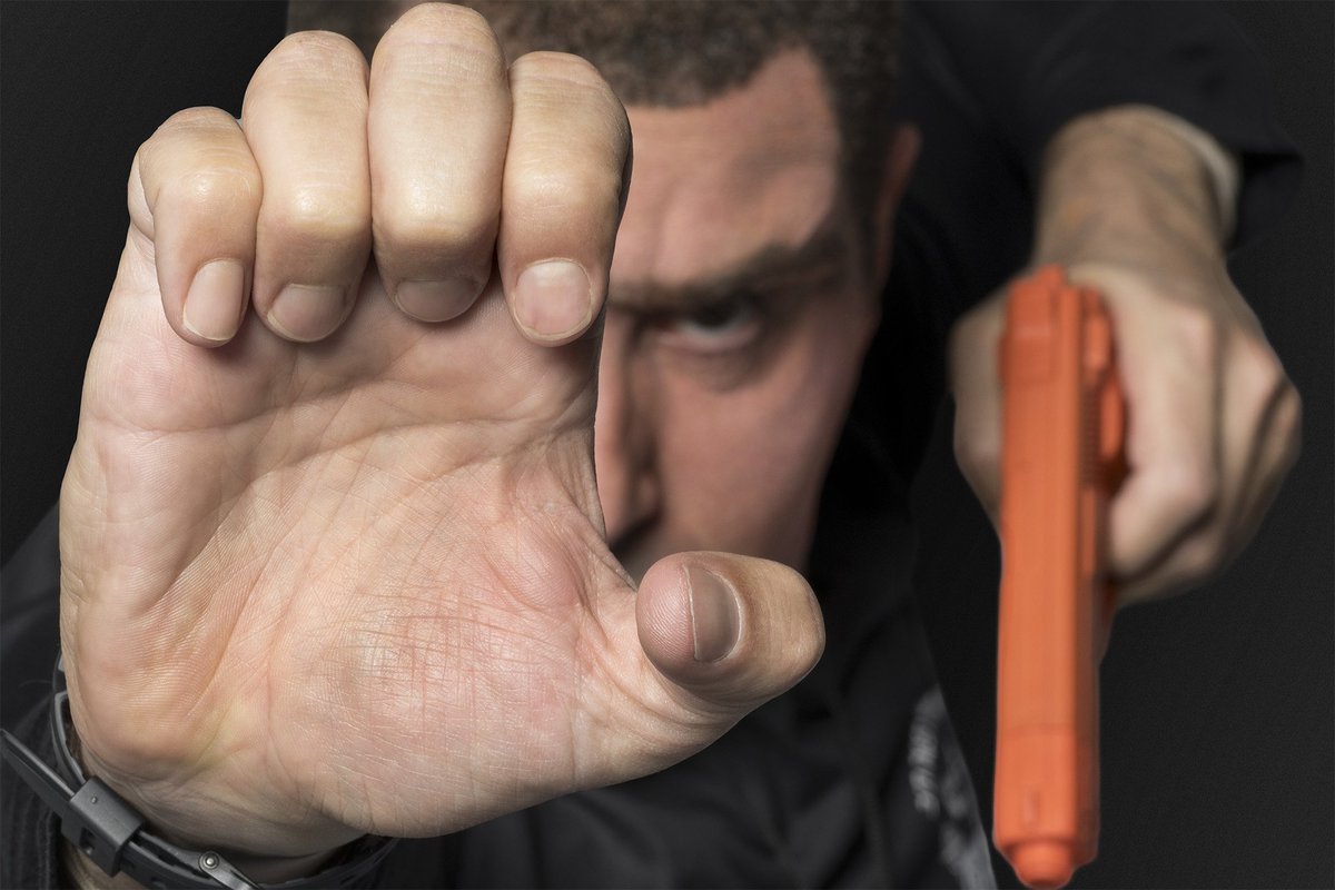 Stop what you're doing and watch this 10-minute clip of #WhoIsAmerica right now tvgd.co/2JpwI8G