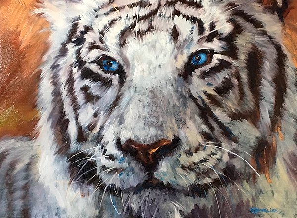 New artwork for sale! - "White Tiger" - fineartamerica.com/featured/white… <a href="/fineartamerica/">Fine Art America</a>