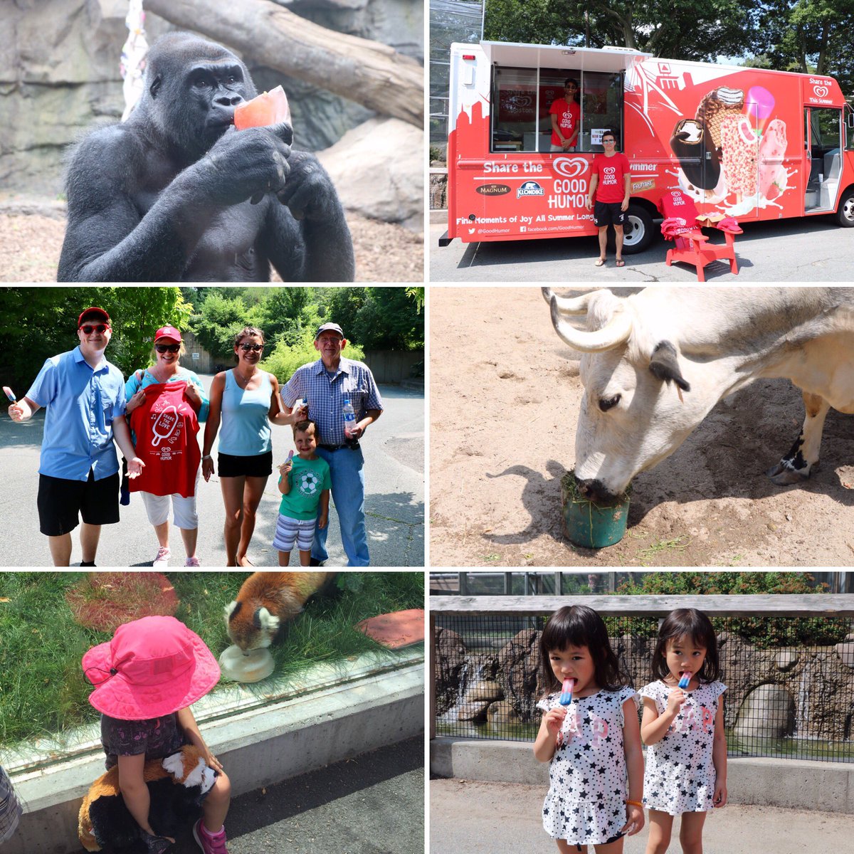 Thanks to our friends at <a href="/GoodHumor/">Good Humor</a> for celebrating #NationalIceCreamDay with us today at #FPZoo! Guests enjoyed some #GoodHumor swag and free samples of their #FirecrackerJr. popsicle, while the animals received special ice treat #enrichment of their own.