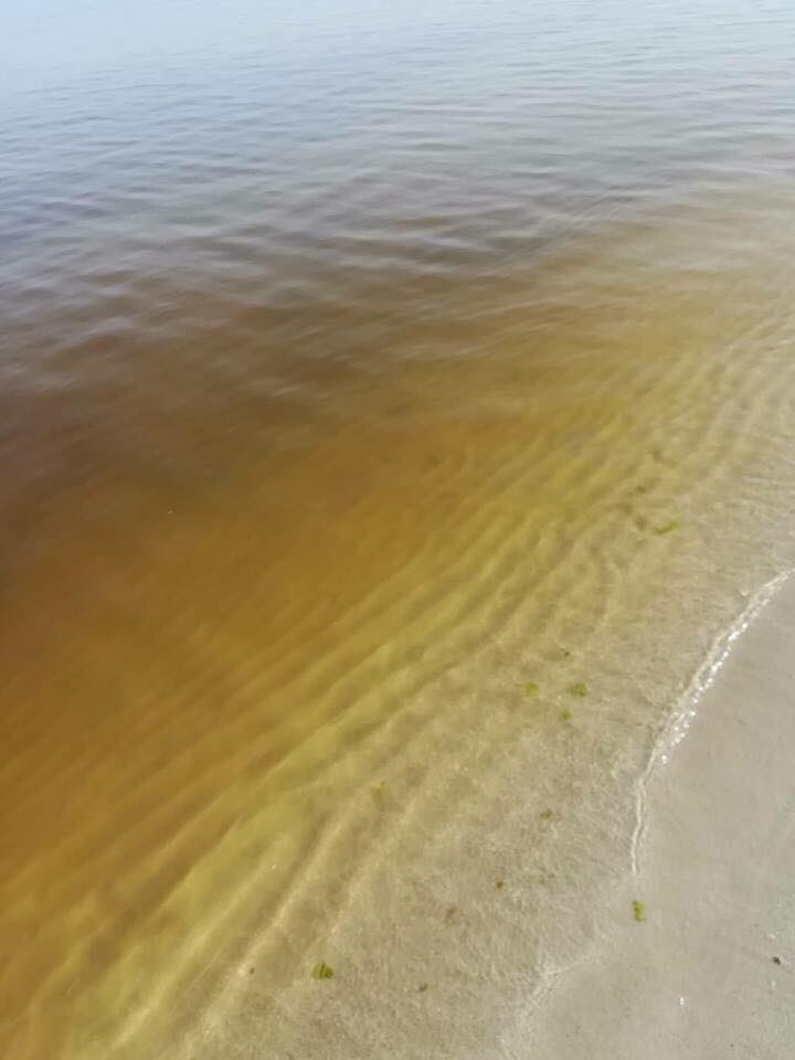 Bshalzly's tweet photo. swarag water sea pollution #Tripoli #marinelife #EnvironmentProtection #Seapolution #Medattrnian 
#Libya https://t.co/iL9njfefjS