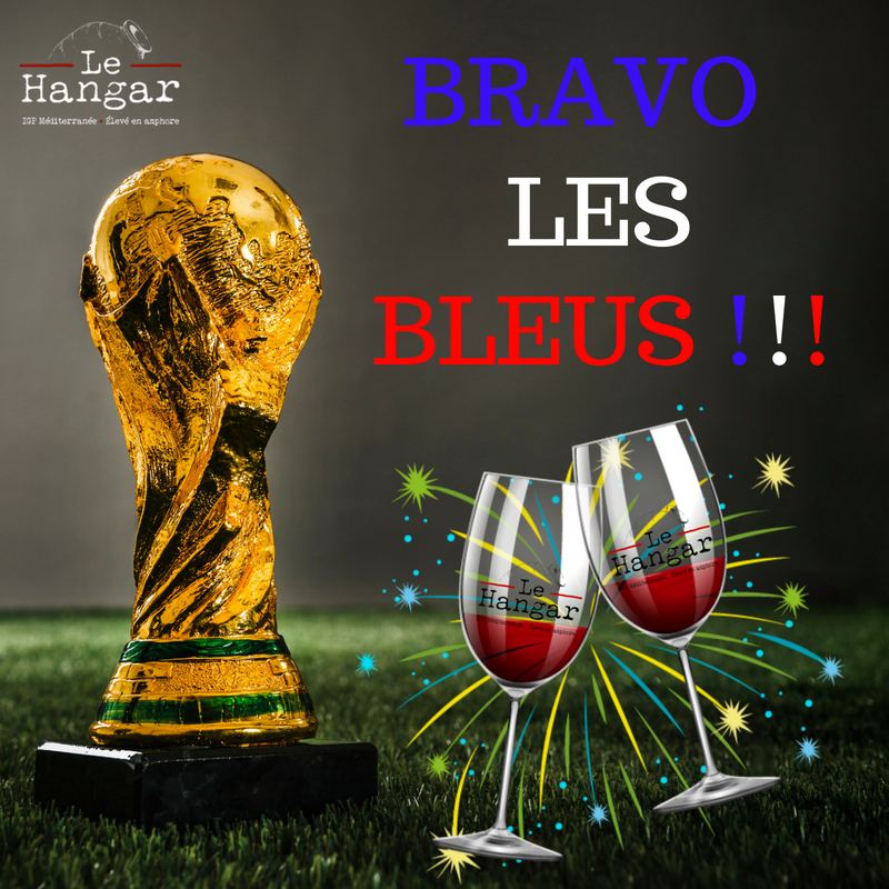 lehangarvinbio's tweet photo. BRAVO LES BLEUS !!! 🇫🇷🇫🇷🇫🇷🍷🍷#CoupeDuMonde2018 #France #vin #winelover https://t.co/ueVyjDpsW5