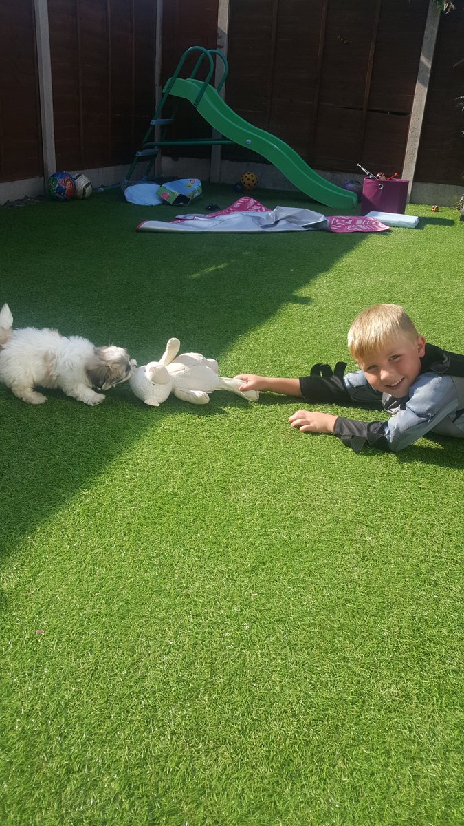 Ruthtomp30's tweet photo. Theo's new best friend 🐶💙 https://t.co/elGRHrFunf